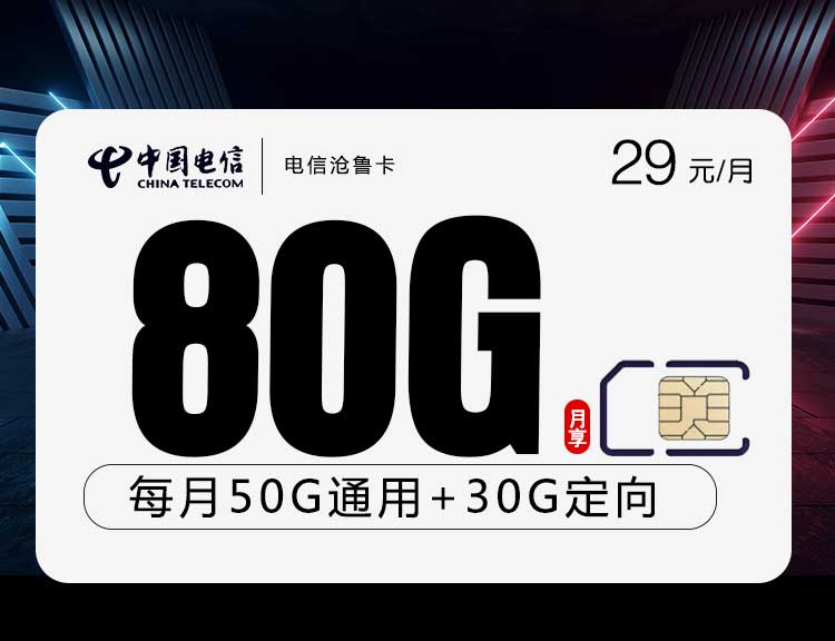 电信流量卡沧鲁卡【长期20年激活选号】