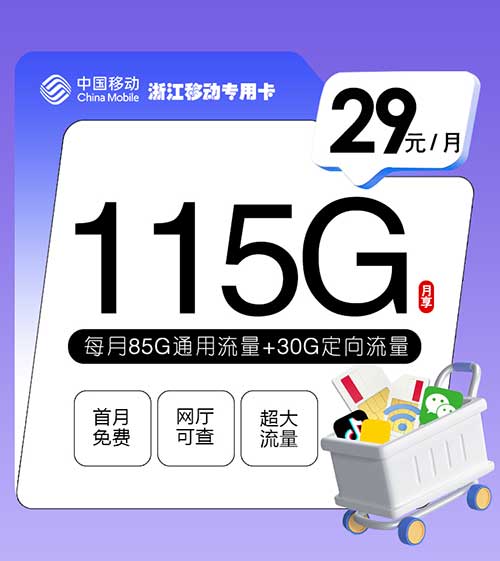 浙江移动流量卡专用卡【29元115G】