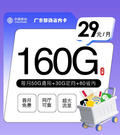 广东移动流量卡省内卡【29元160G】