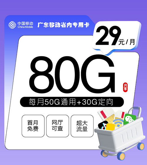 广东移动流量卡省内专用卡【仅发广东】29元80G