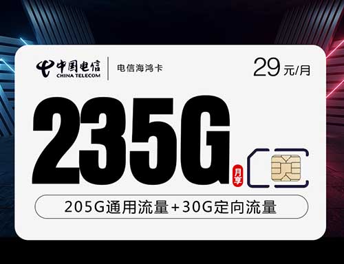 电信流量卡海鸿卡【29元235G+100分钟】